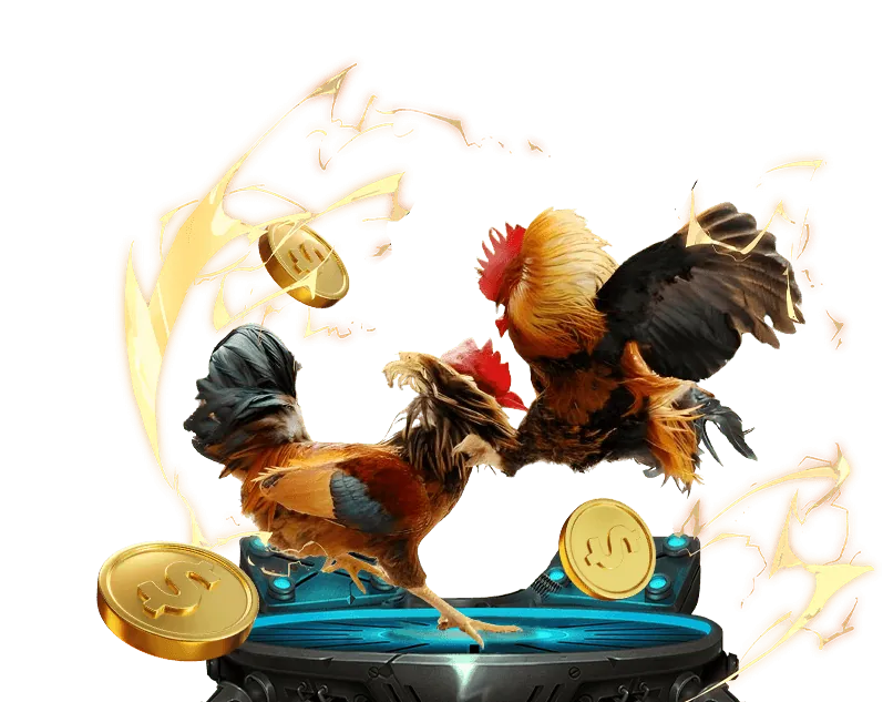 Công bằng và minh bạch